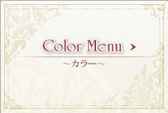 Color Menu～ヘアカラー～
