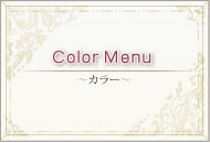 Color Menu～ヘアカラー～