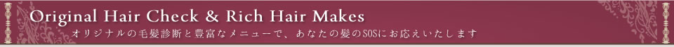 Original Hair Check & Rich Hair Makes～オリジナルの毛髪診断と豊富なメニューで、あなたの髪のSOSにお応えいたします～