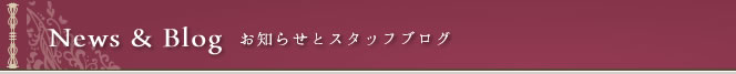News&Blog　お知らせとスタッフブログ