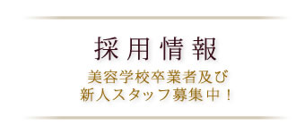 採用情報 美容学校卒業者及び新人スタッフ募集中！