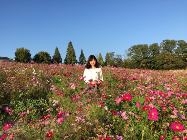 2015.10.19.1