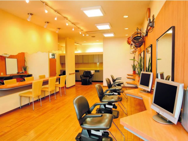 salon_insalon0