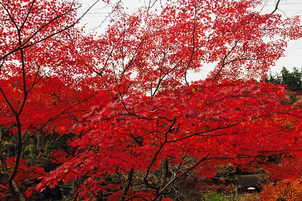 201711253