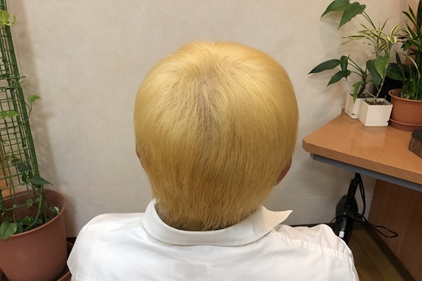 20196274