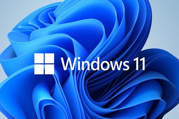 2021w11